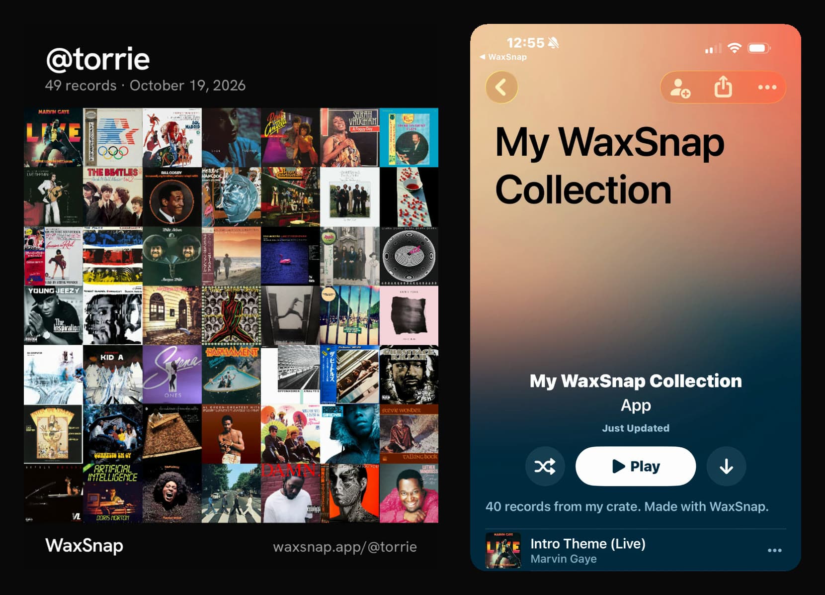 Two things WaxSnap makes from a collection: an Art Wall of 49 album covers for @torrie, dated October 19, 2026, and an Apple Music playlist named My WaxSnap Collection.